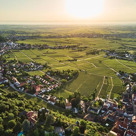 Neustadt an der WeinstraßeWeinzeit13アパートメント エクステリア 写真
