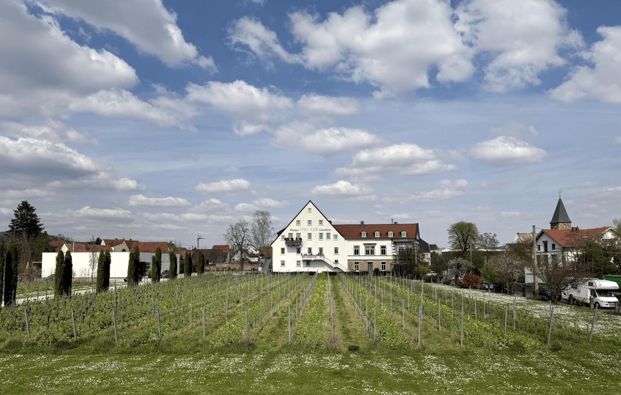 Neustadt an der WeinstraßeWeinzeit13アパートメント エクステリア 写真